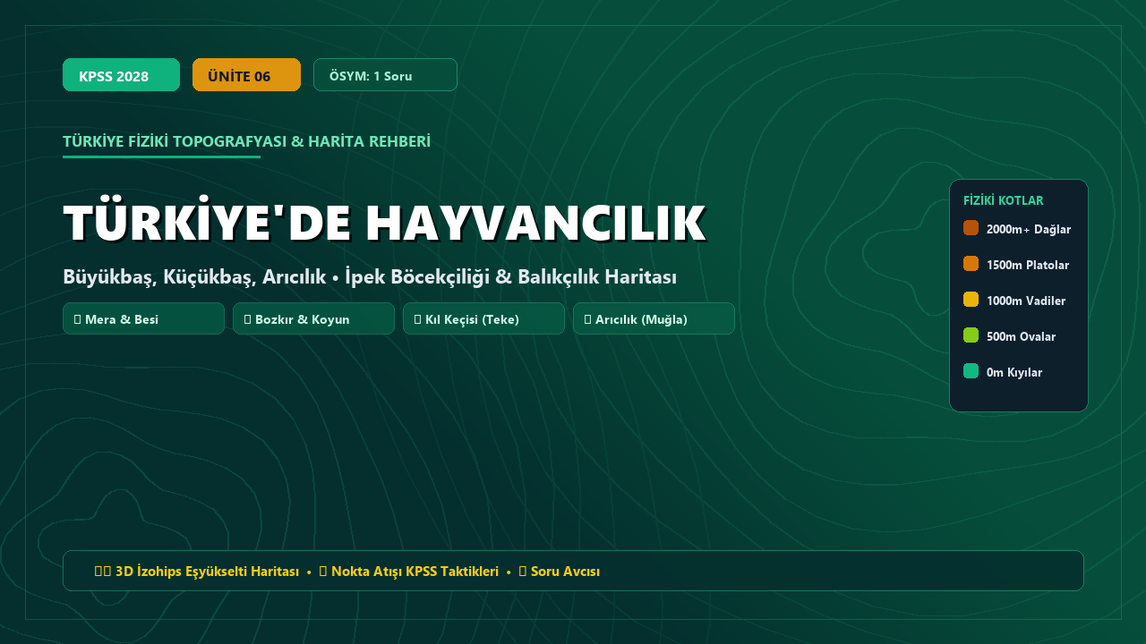 Türkiye'de Hayvancılık